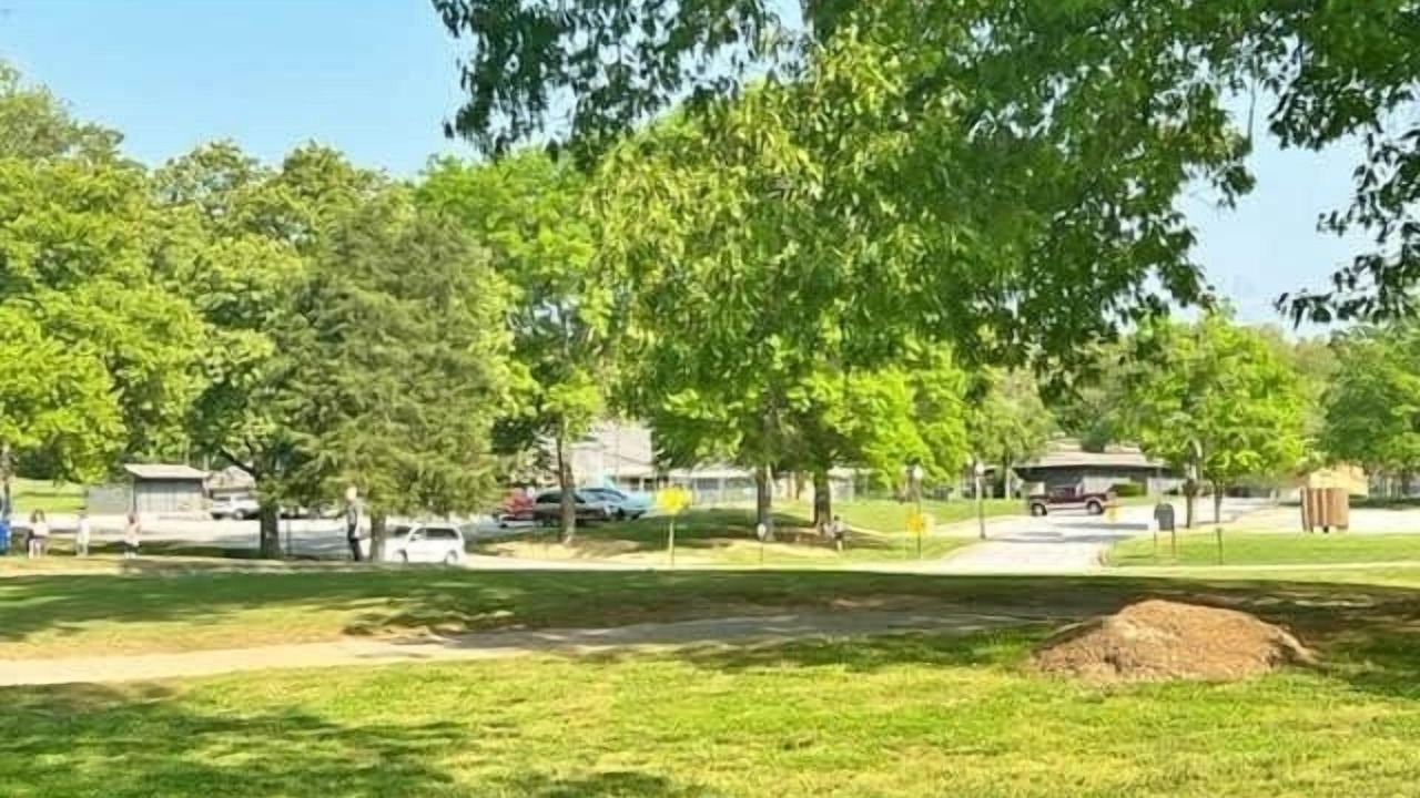 Photo of Others in Bella Vista
