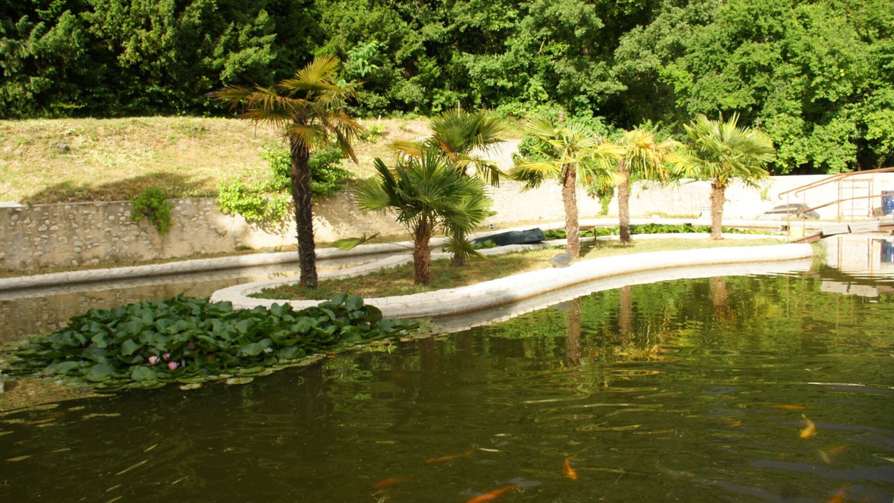 Photo of Outdoor in Crest