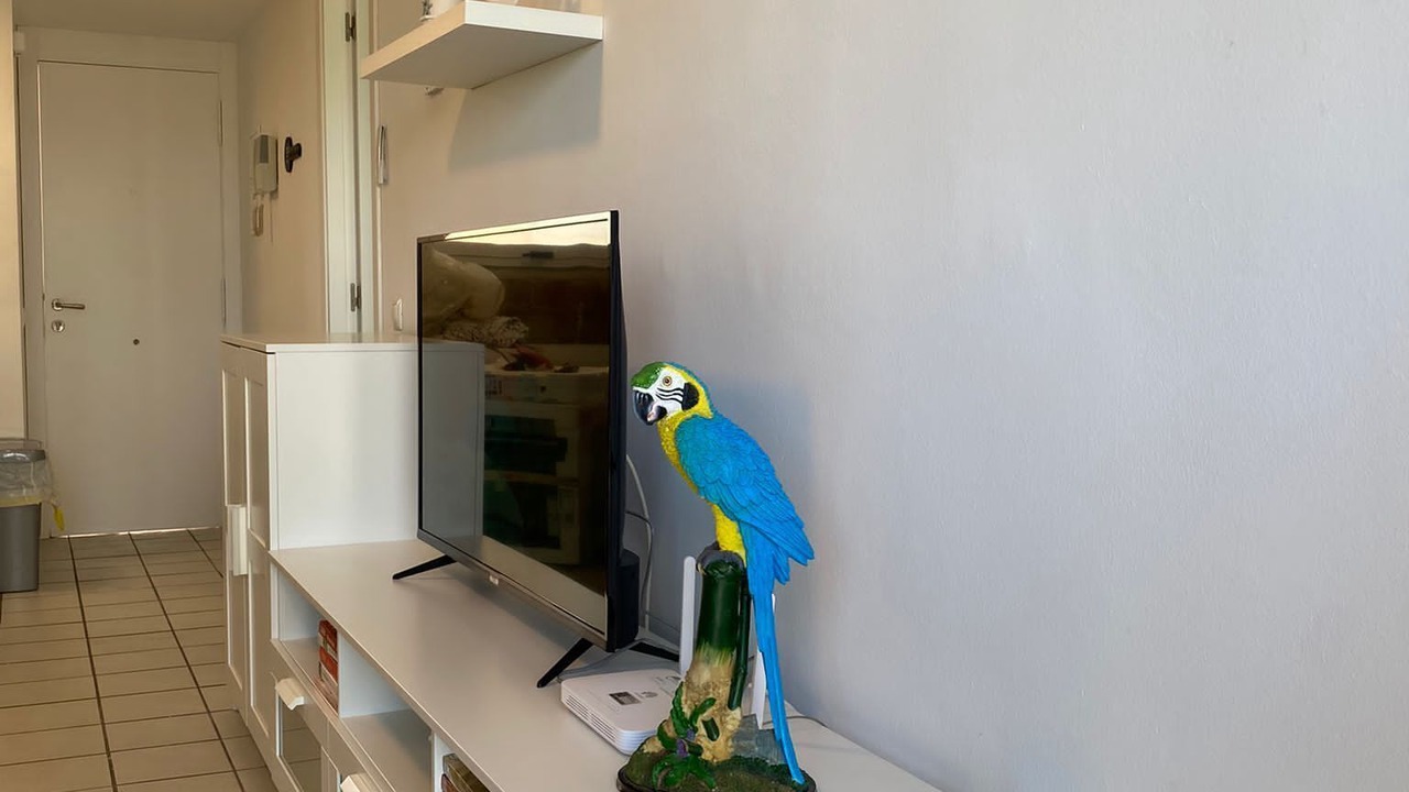 Photo of Kitchen in Flamenca Beach