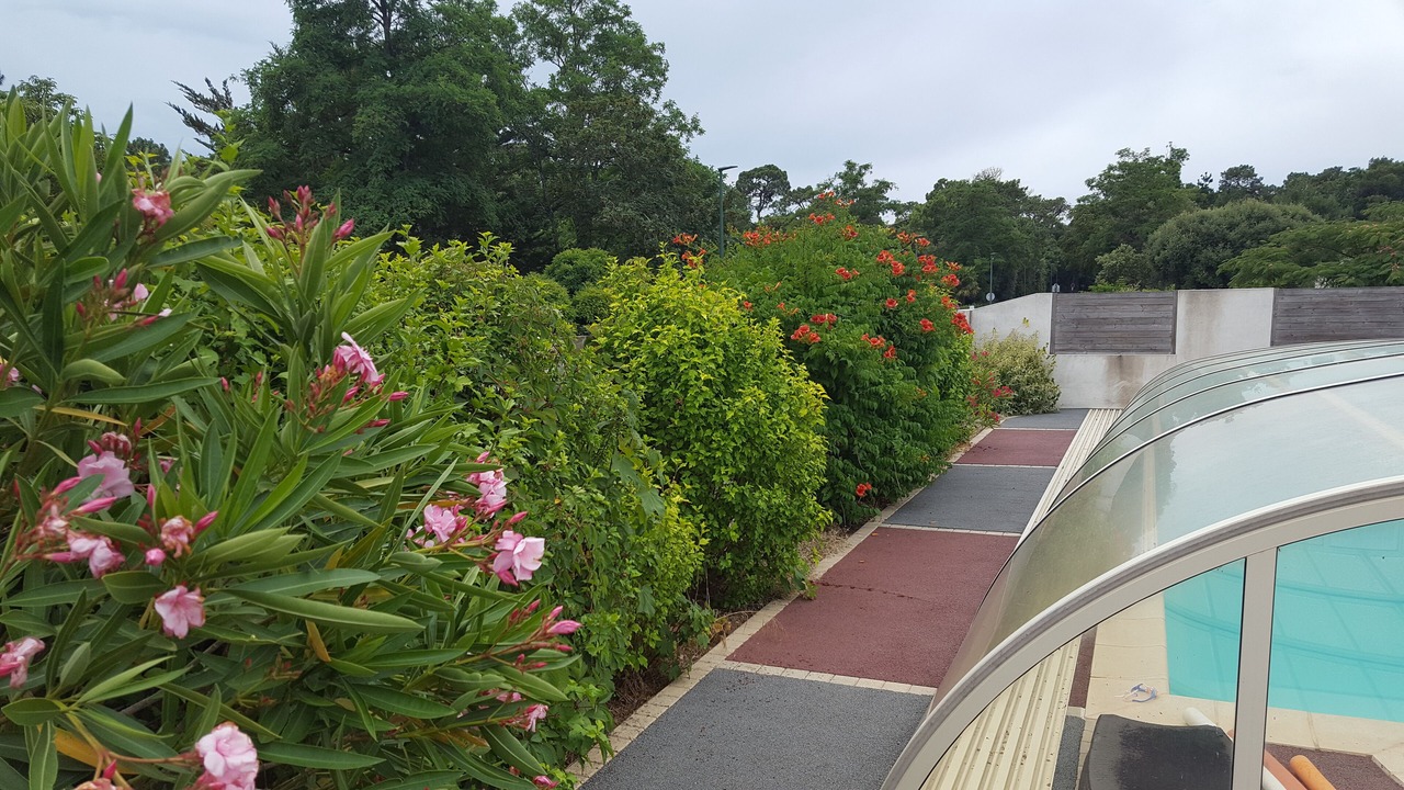 Photo of Outdoor in Longeville-sur-Mer