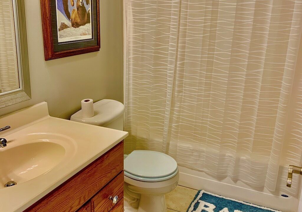 Photo of Bathroom in Lansing