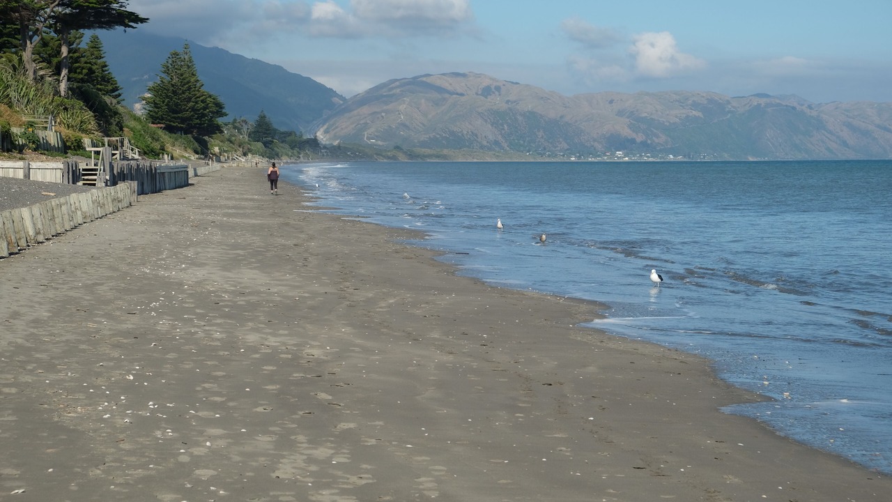 Photo of Others in Paraparaumu