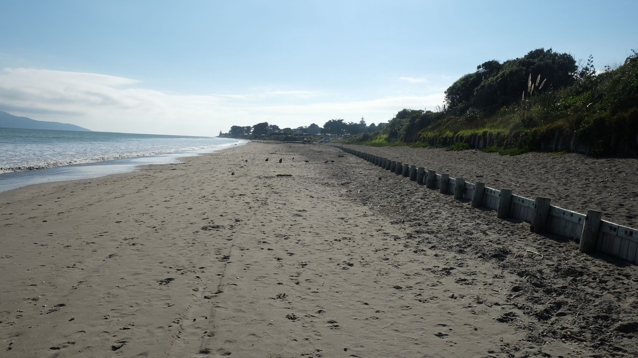 Photo of Others in Paraparaumu