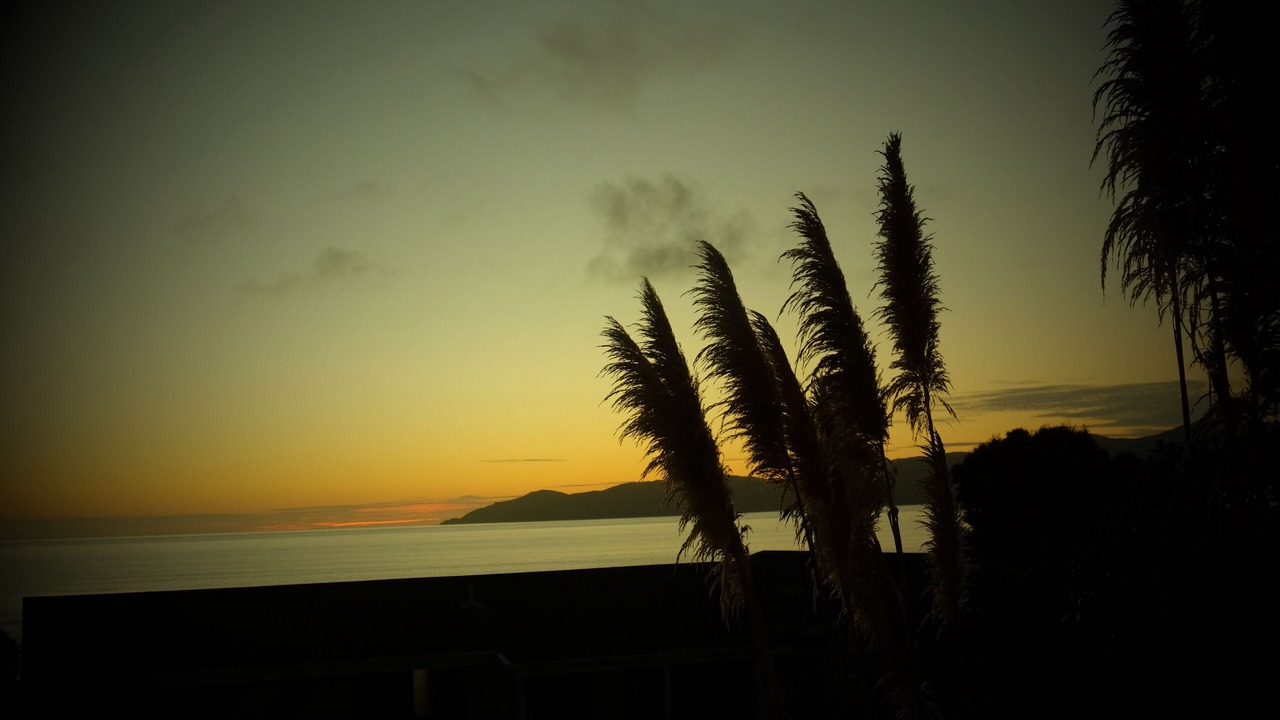 Photo of Others in Paraparaumu