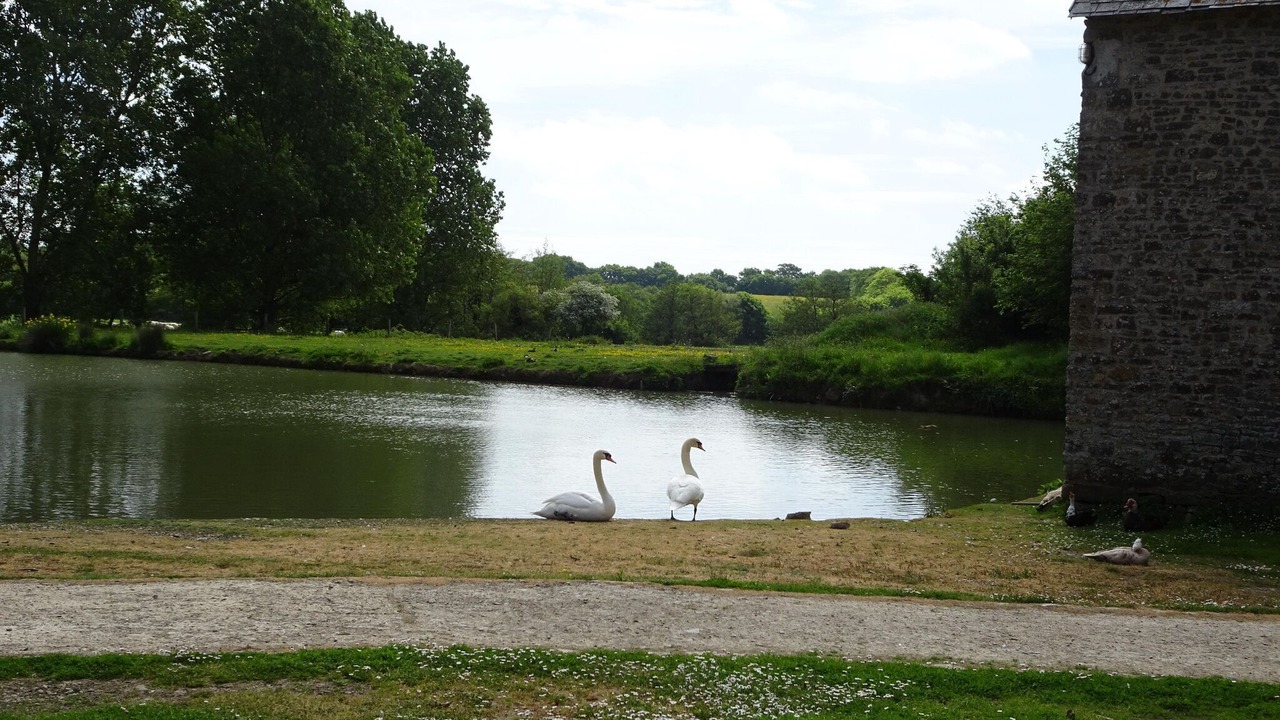 Photo of Outdoor in Saint-Lo-d'Ourville