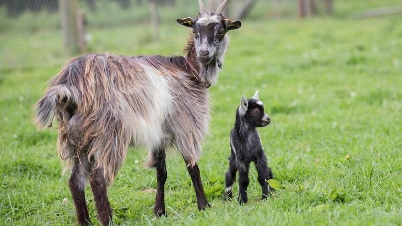 Photo of Outdoor in Saint-Lo-d'Ourville