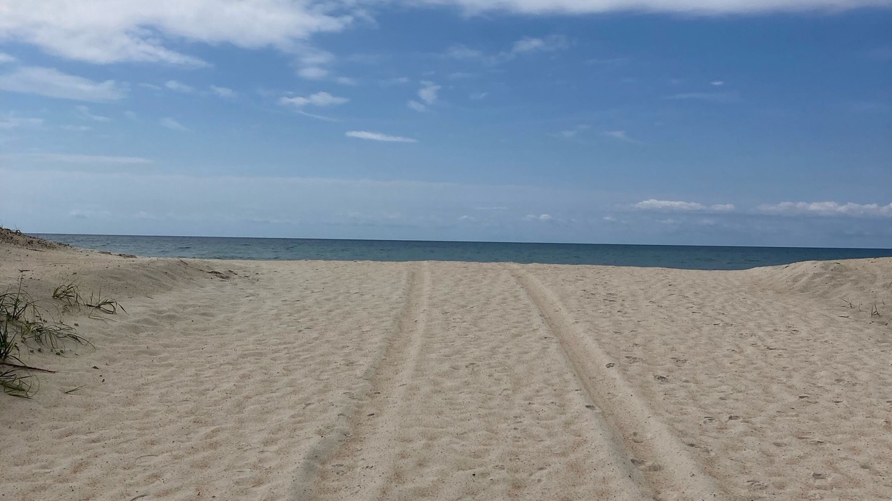 Photo of Others in Ocean City Beach