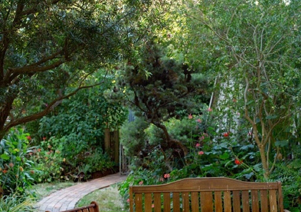 Photo of Outdoor in Hoddles Creek