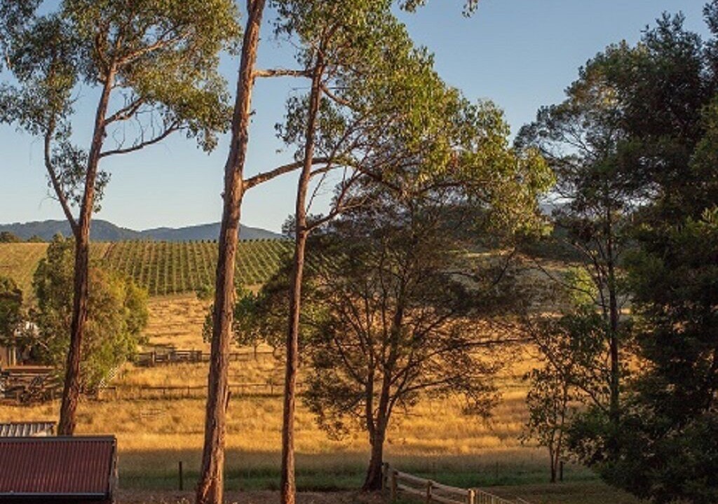 Photo of Others in Hoddles Creek