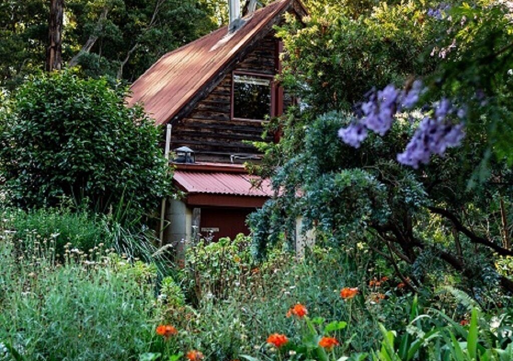 Photo of Outdoor in Hoddles Creek