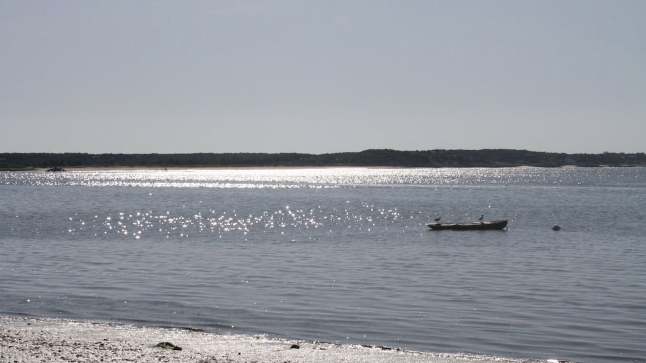 Photo of Others in Indian Neck Heights