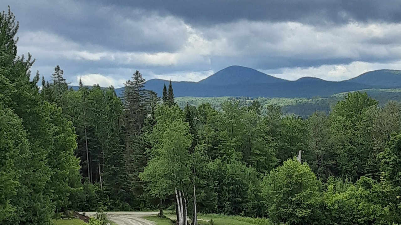 Photo of Others in Brighton