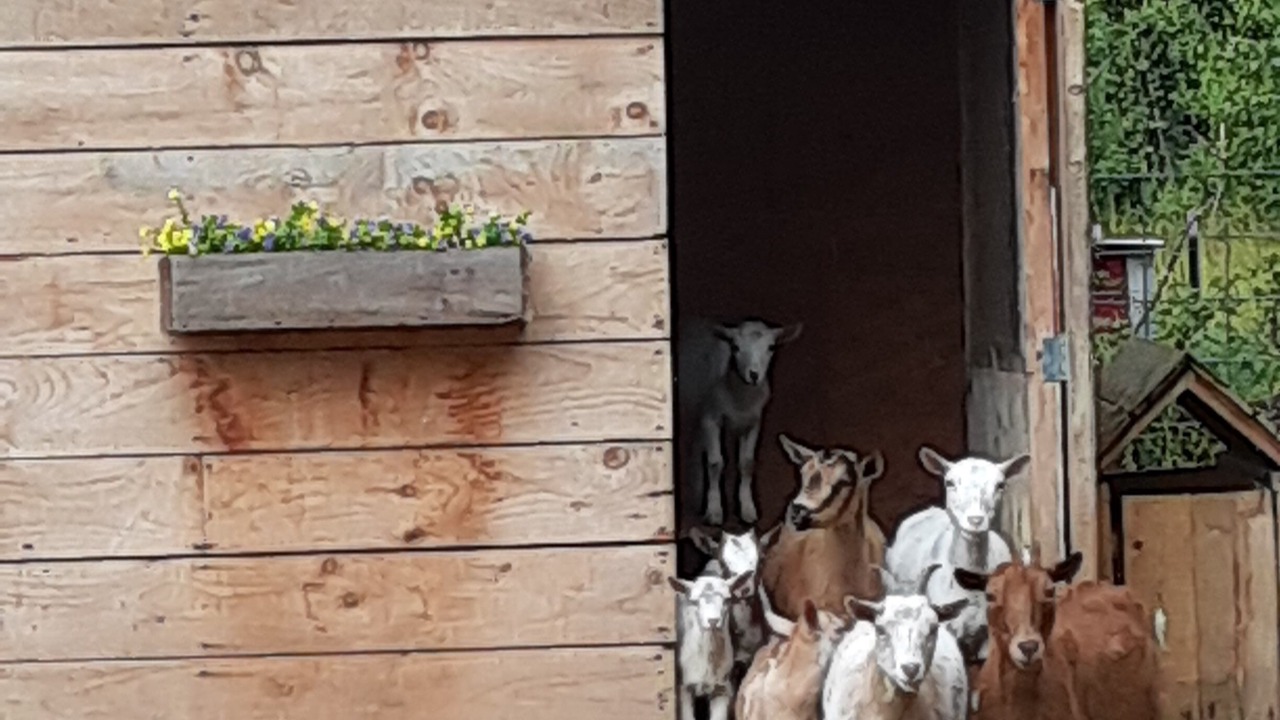 Photo of Outdoor in Brighton