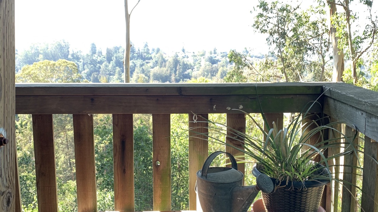 Photo of Outdoor in Piedmont Pines
