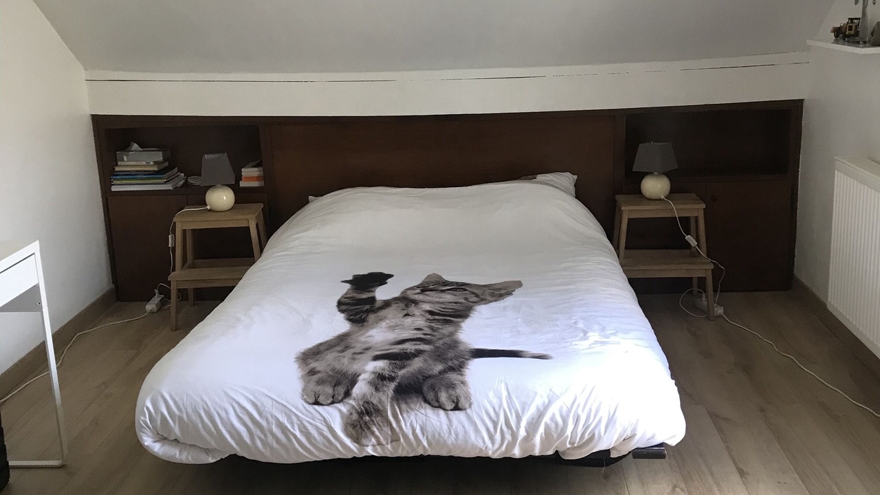 Photo of Bedroom in Saint-Jean-de-Braye