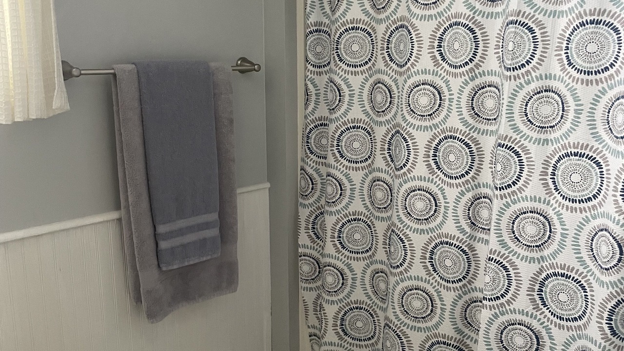 Photo of Bathroom in Northville