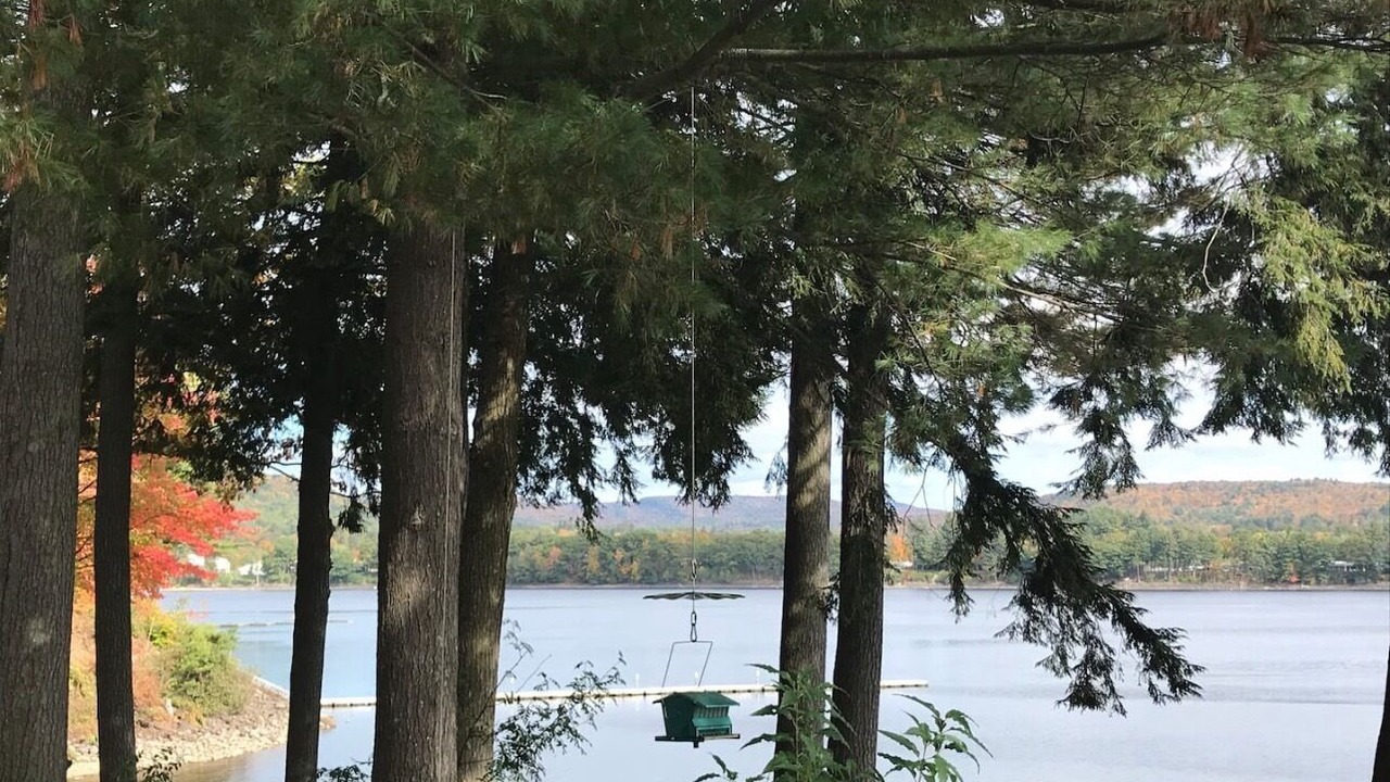 Photo of Outdoor in Northville