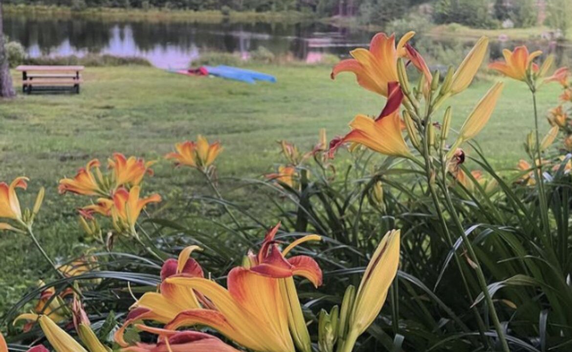 Photo of Outdoor in Erbs Cove