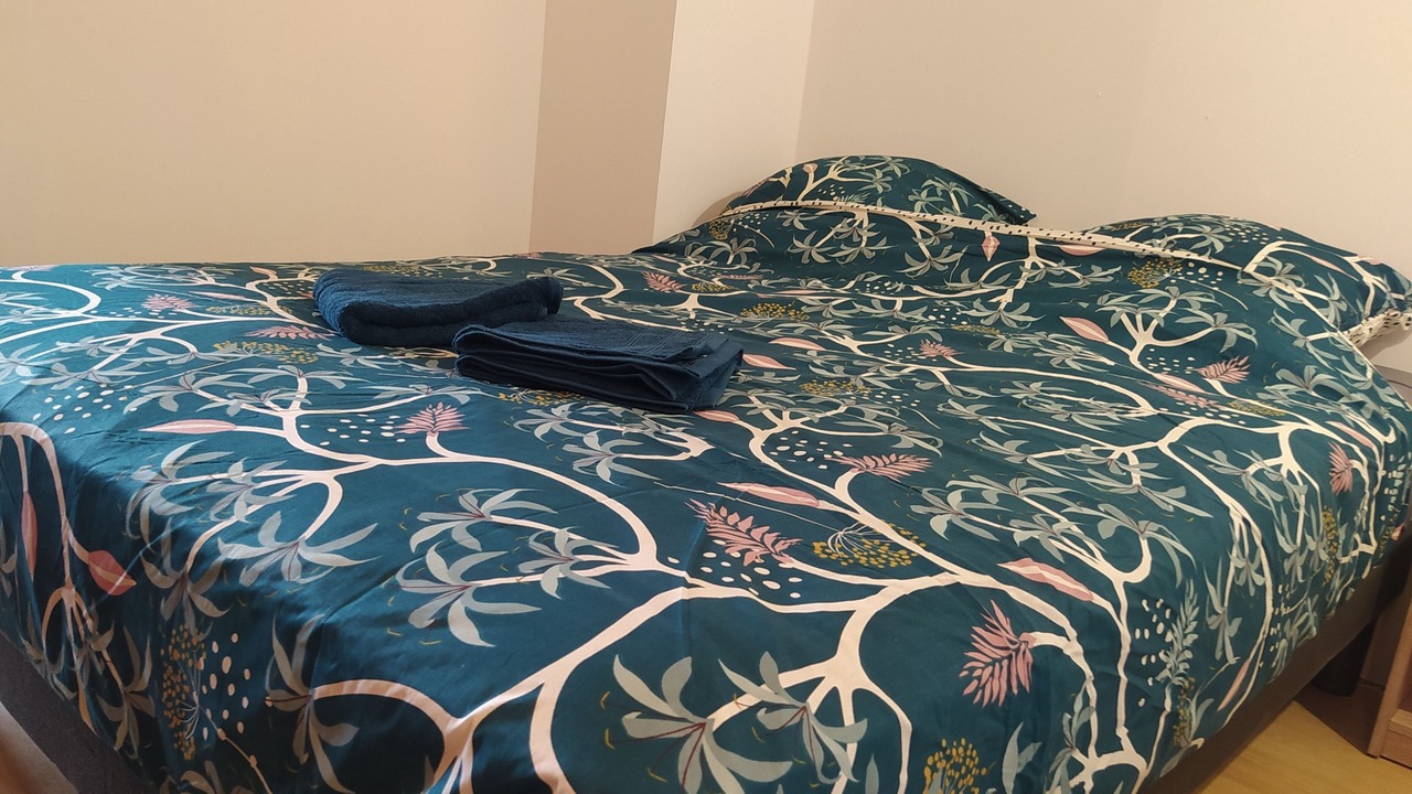 Photo of Bedroom in Lisieux