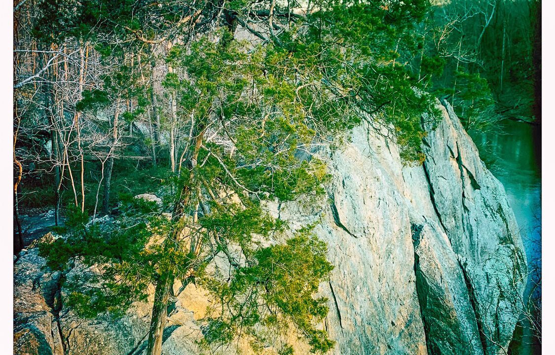 Photo of Others in Cabin John