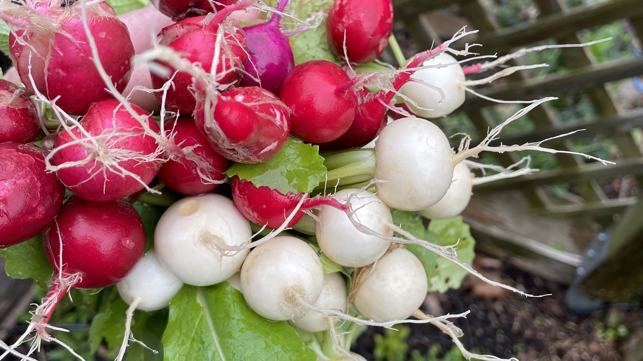 Photo of Others in Cabin John