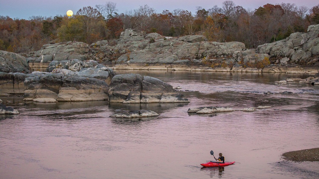 Photo of Others in Cabin John