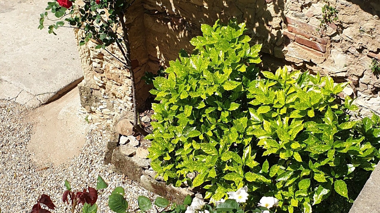 Photo of Outdoor in Saint-Pons-la-Calm
