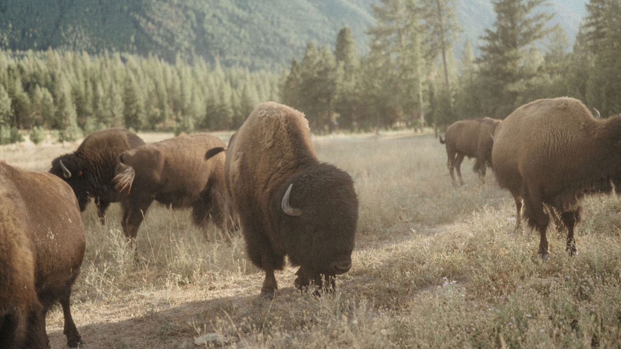 Photo of Others in Alberton