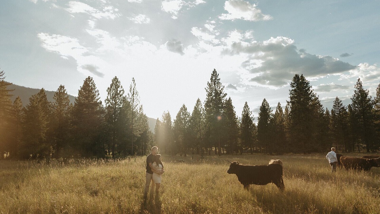 Photo of Others in Alberton