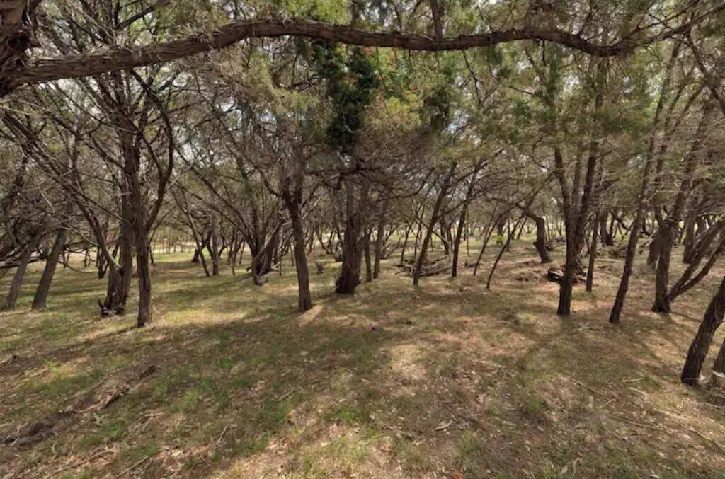 Photo of Outdoor in Austin