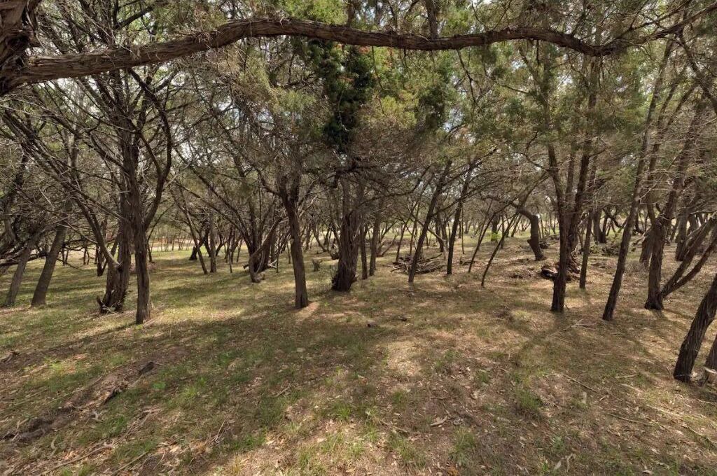 Photo of Outdoor in Austin