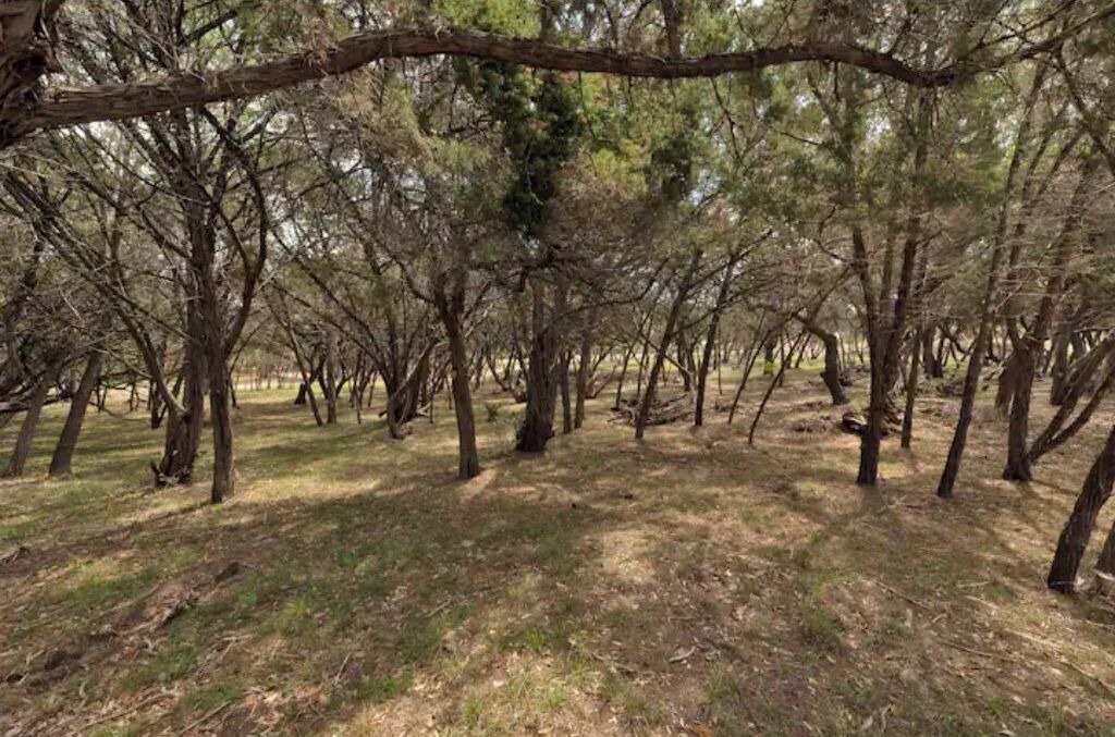 Photo of Outdoor in Austin