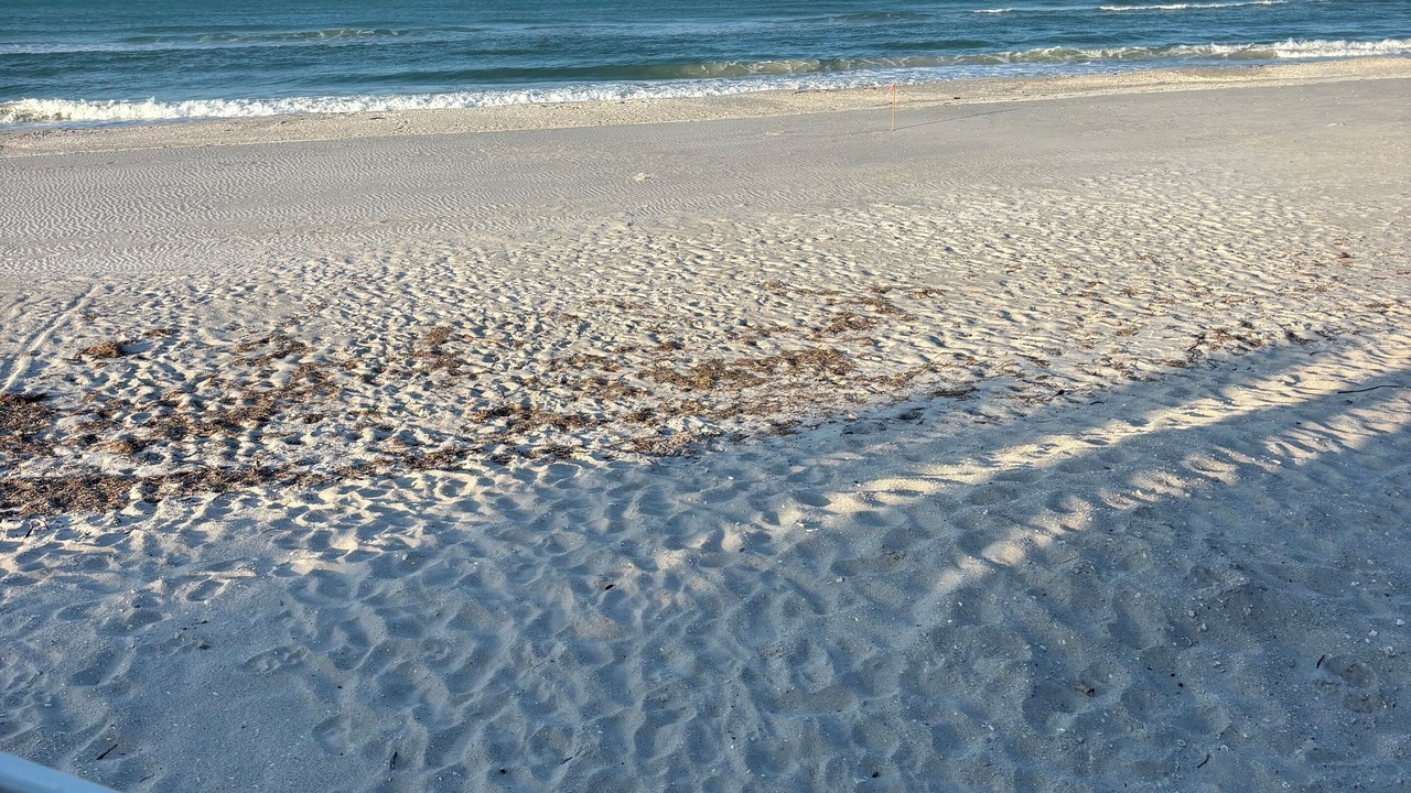Photo of Others in Palm Island