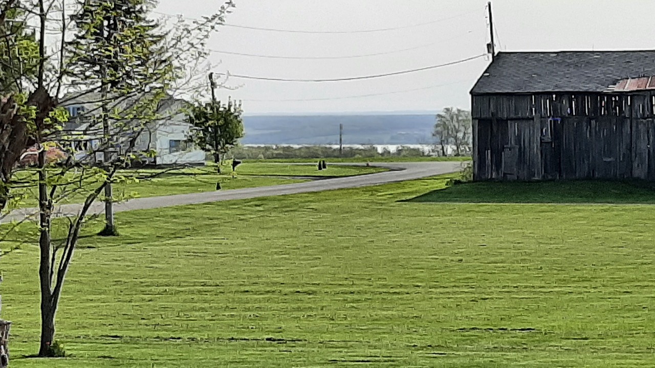 Photo of Others in Town of Torrey