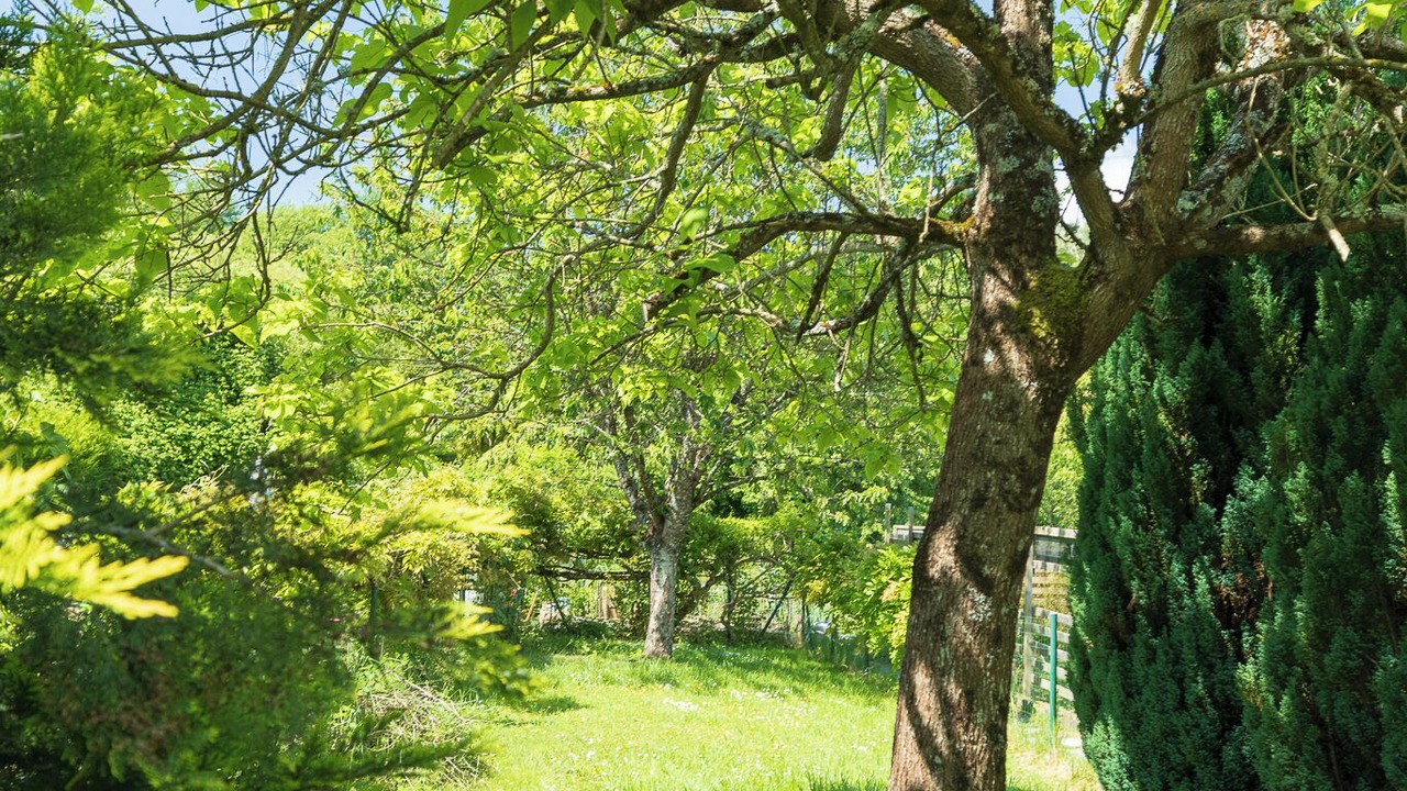 Photo of Outdoor in Orbigny