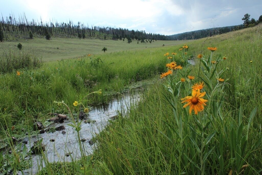 Photo of Outdoor in Alpine