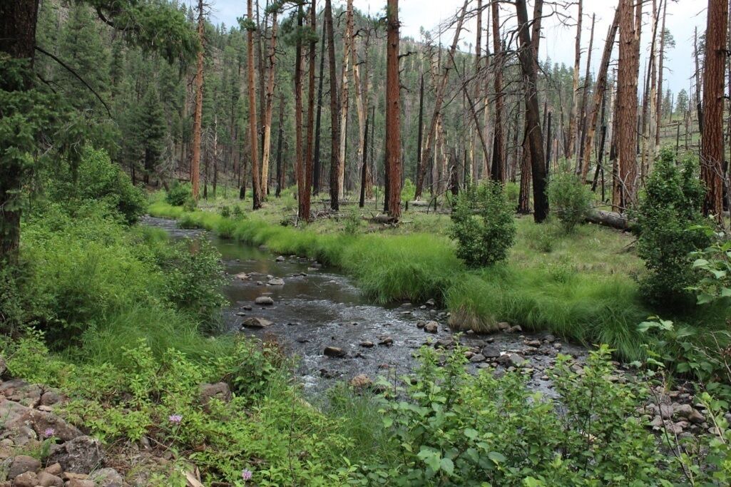 Photo of Outdoor in Alpine