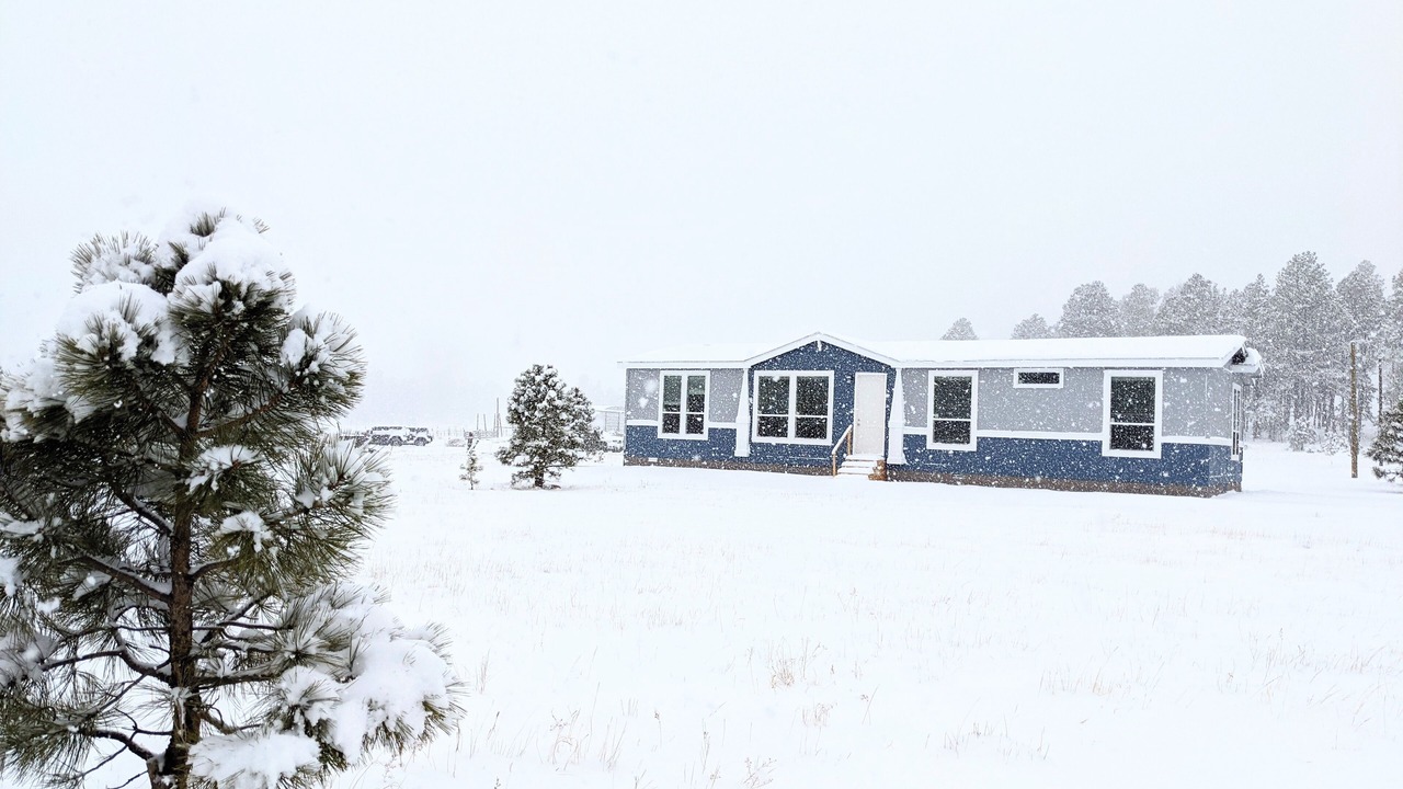 Photo of Others in Alpine