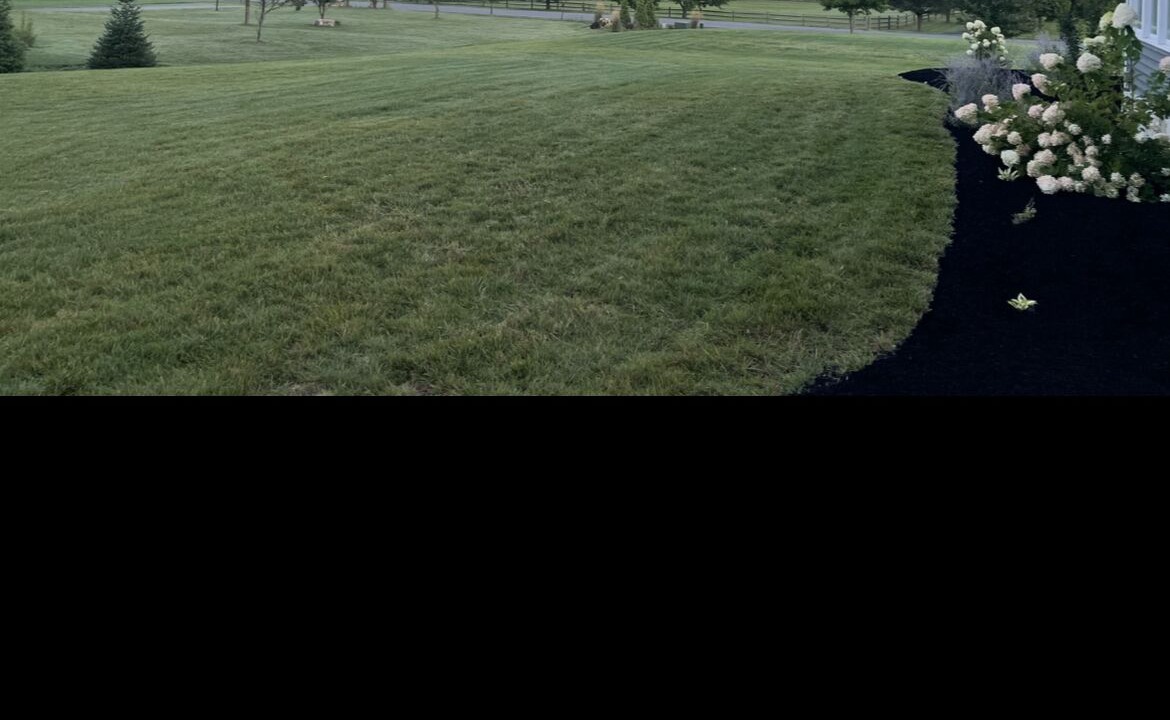 Photo of Outdoor in Port Matilda