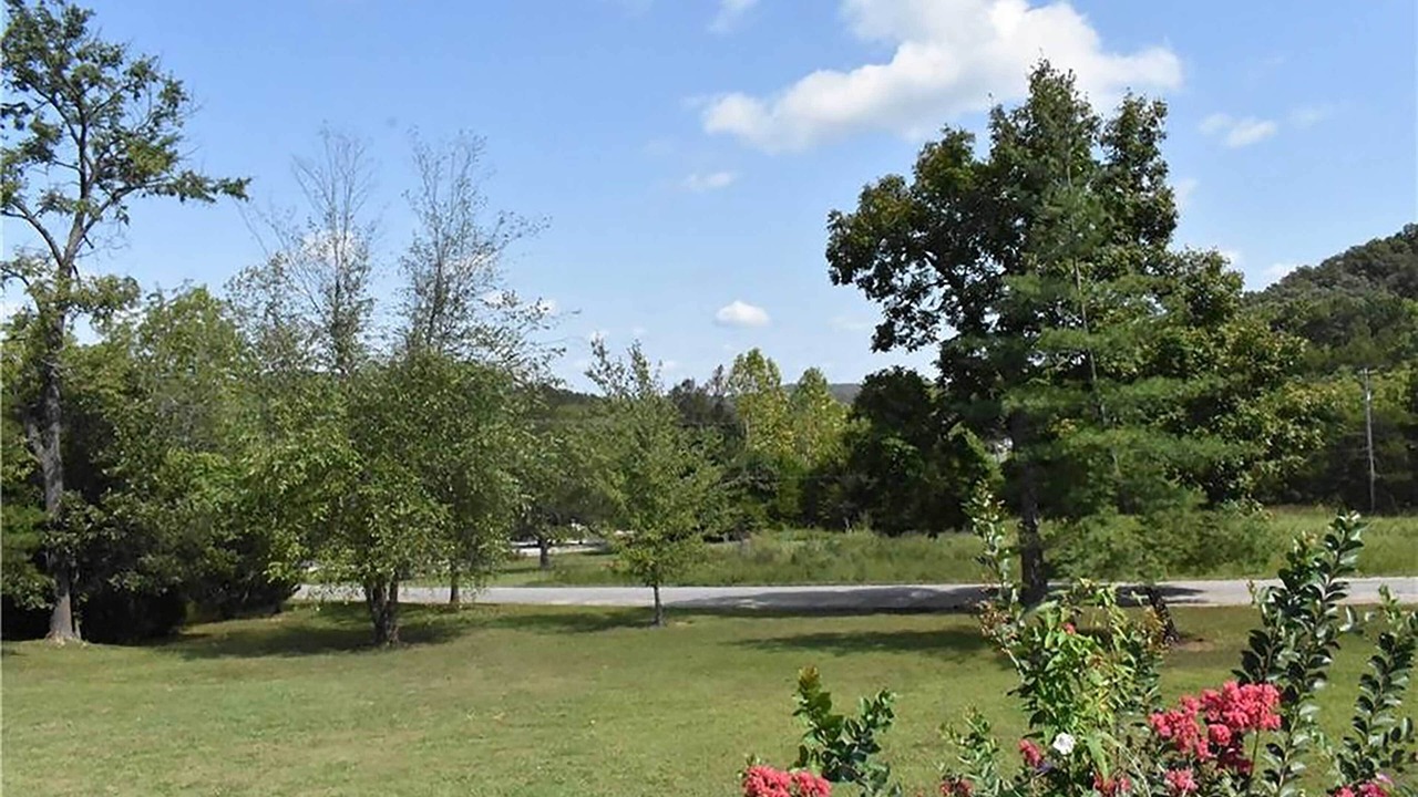 Photo of Outdoor in Roach