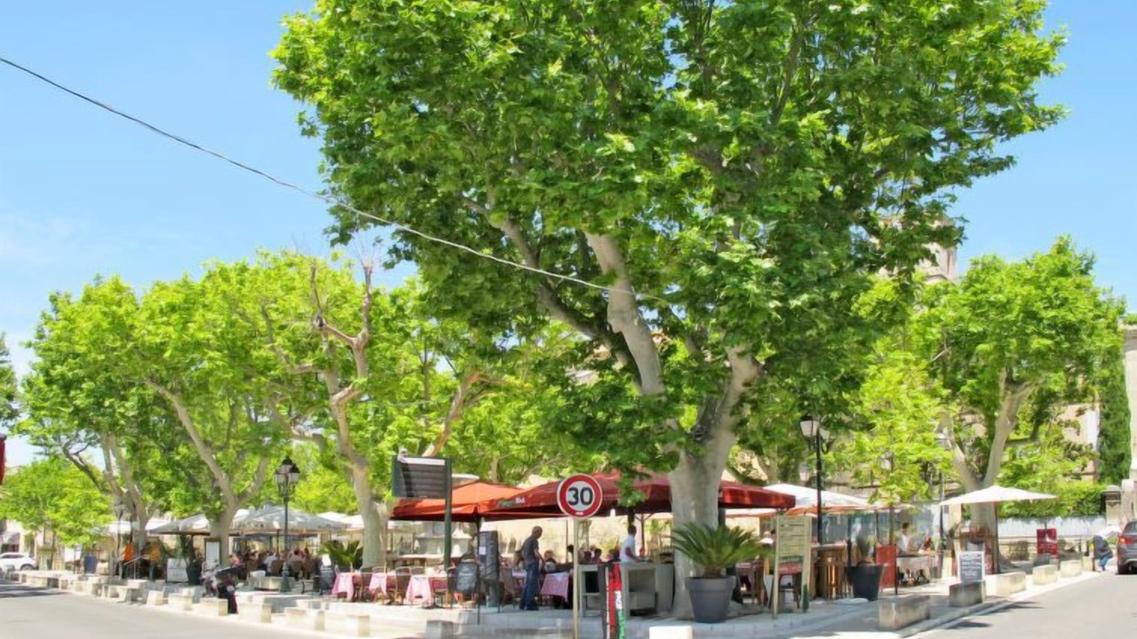 Photo of Outdoor in Maussane