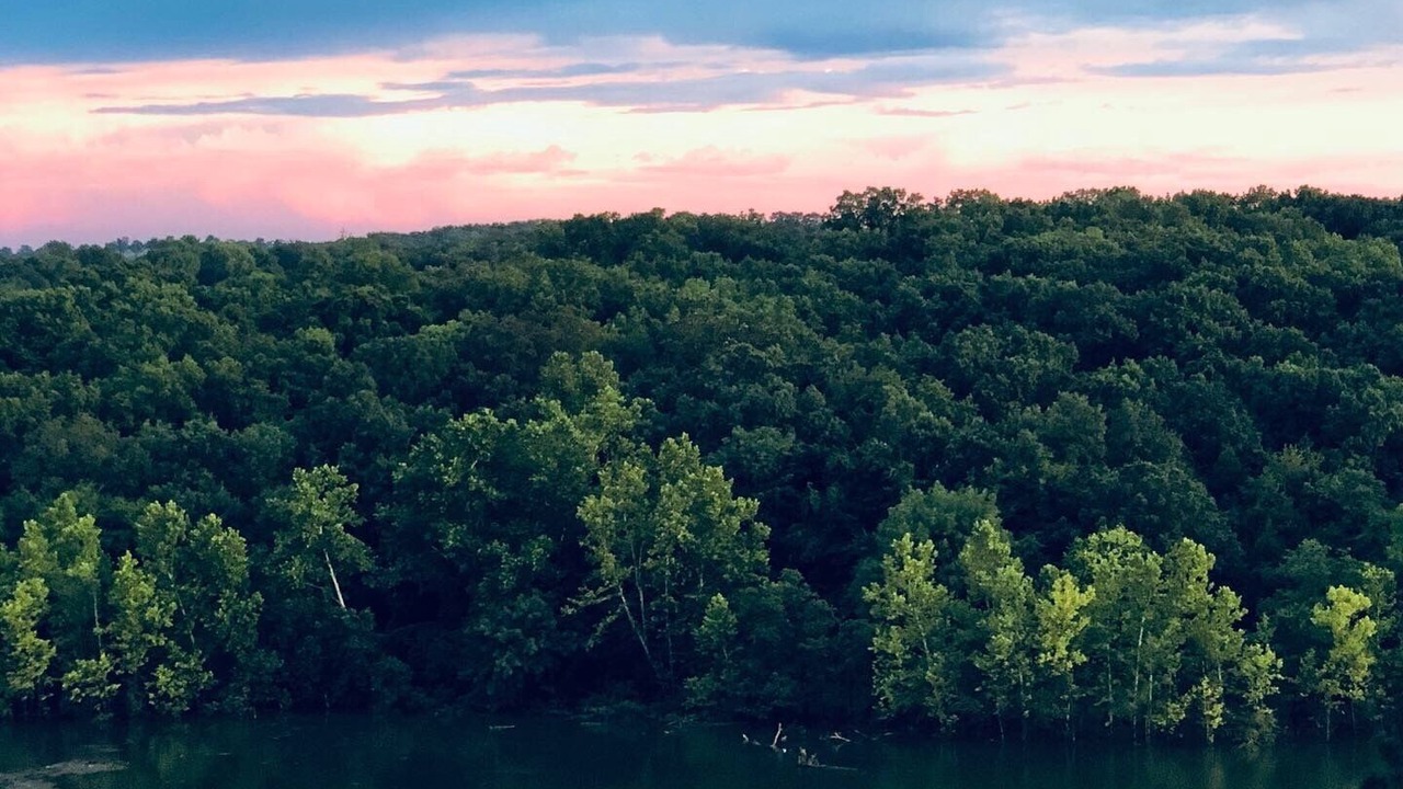 Photo of Outdoor in Shell Knob