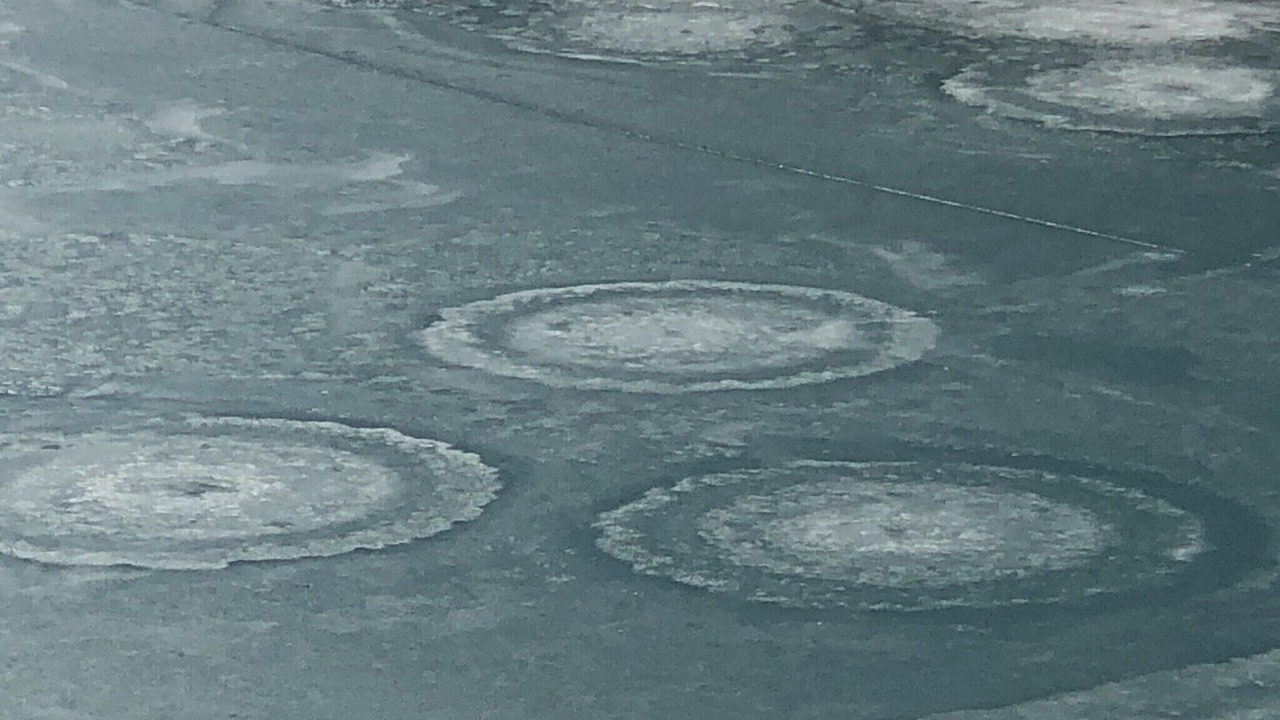 Photo of Others in Shell Knob
