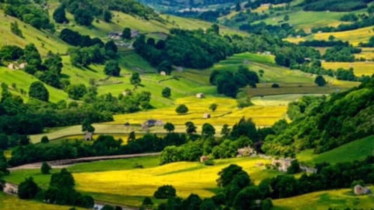 Photo of Others in Darton