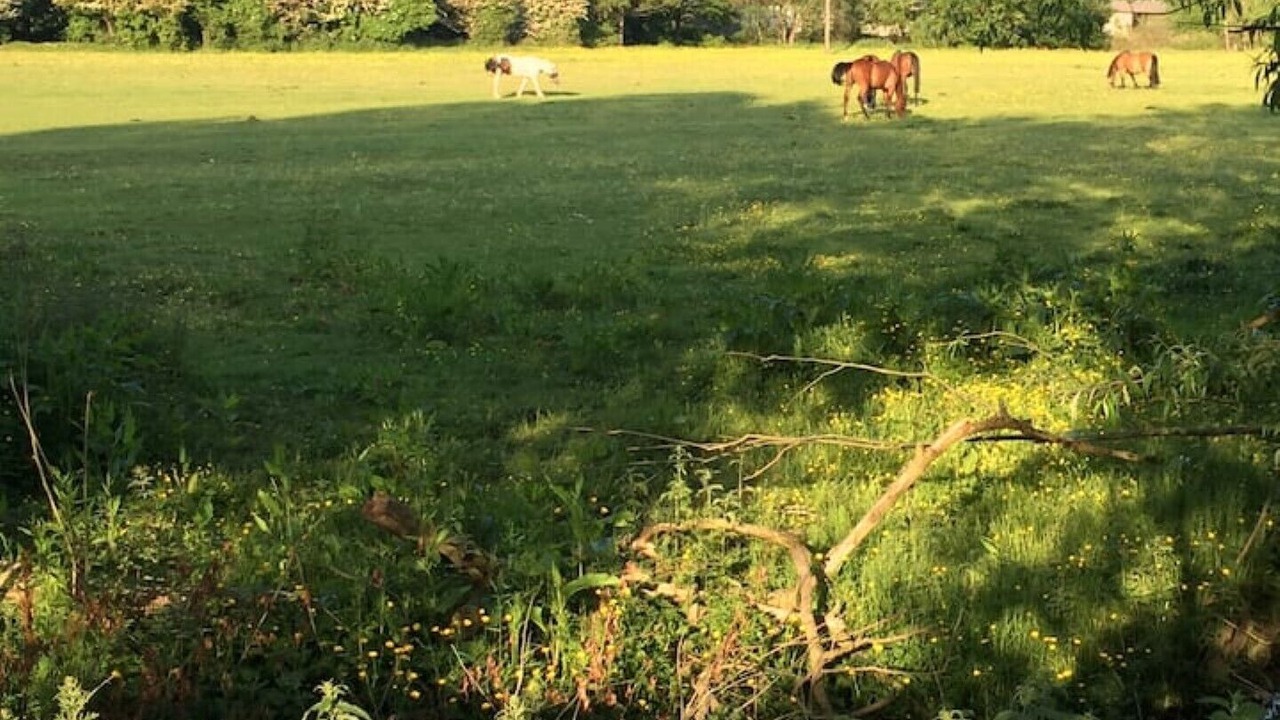 Photo of Others in Darton