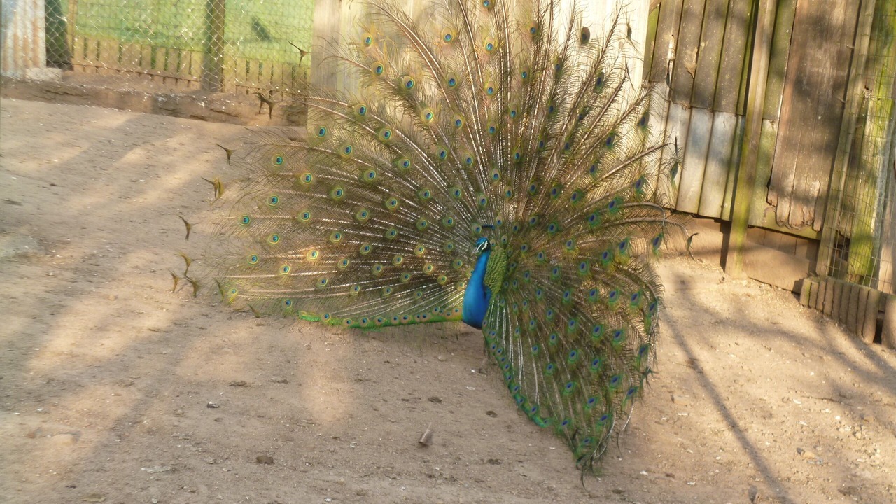 Photo of Outdoor in Bieuzy