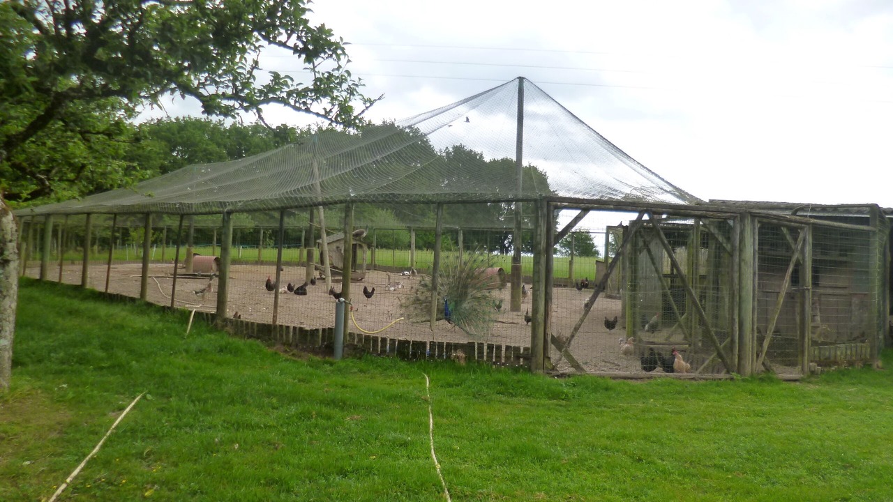 Photo of Others in Bieuzy