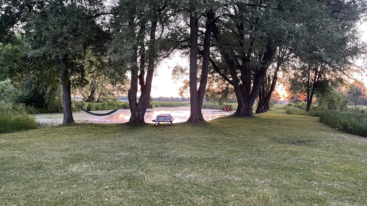 Photo of Outdoor in Picton