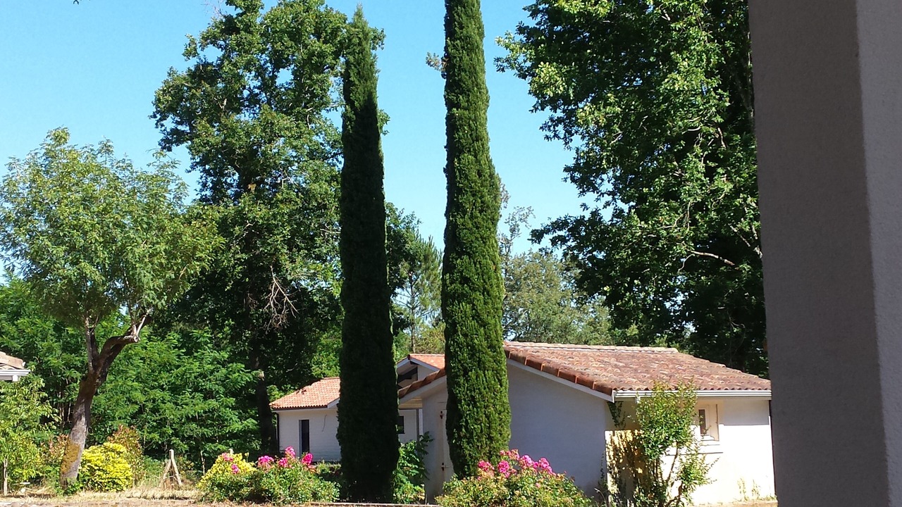 Photo of Outdoor in Pontenx-les-Forges
