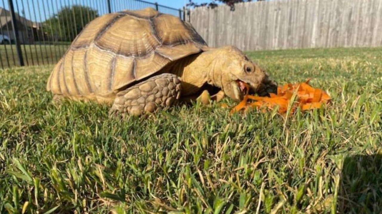Photo of Others in Gainesville